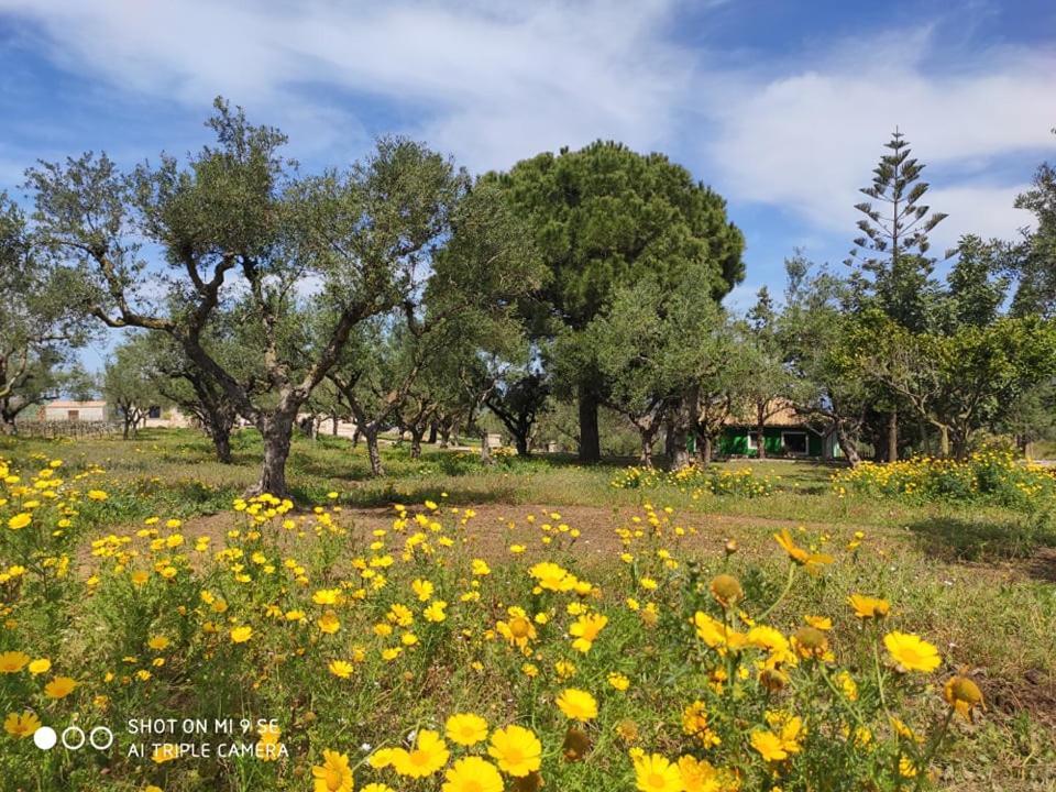 Lithies Farm Houses Vasilikos  Ngoại thất bức ảnh