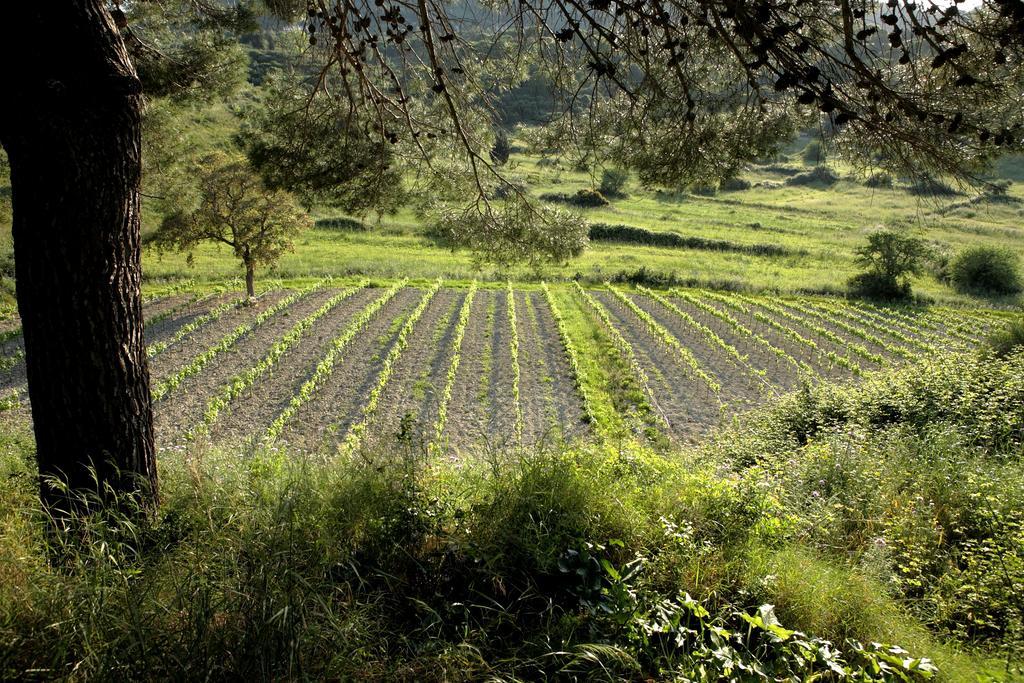 Lithies Farm Houses Vasilikos  Ngoại thất bức ảnh